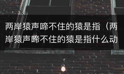 两岸猿声啼不住的猿是指（两岸猿声啼不住的猿是指什么动物）