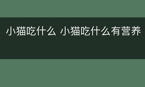 小猫吃什么 小猫吃什么有营养