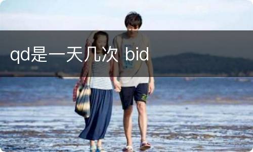 qd是一天几次 bid