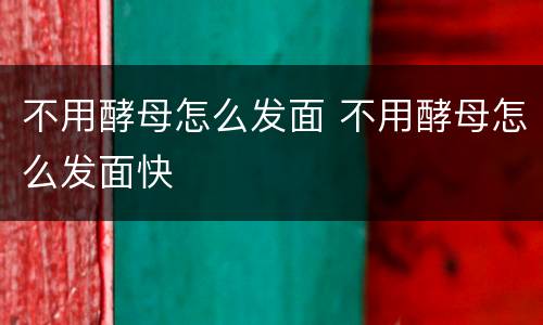 不用酵母怎么发面 不用酵母怎么发面快
