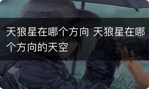 天狼星在哪个方向 天狼星在哪个方向的天空
