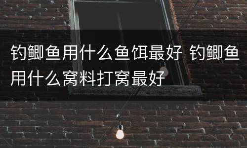 钓鲫鱼用什么鱼饵最好 钓鲫鱼用什么窝料打窝最好