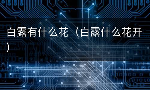 白露有什么花（白露什么花开）