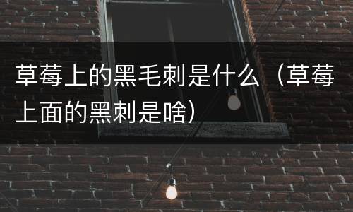 草莓上的黑毛刺是什么（草莓上面的黑刺是啥）