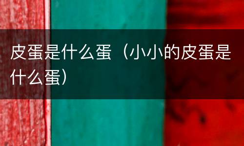 皮蛋是什么蛋（小小的皮蛋是什么蛋）