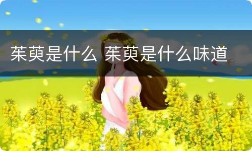 茱萸是什么 茱萸是什么味道