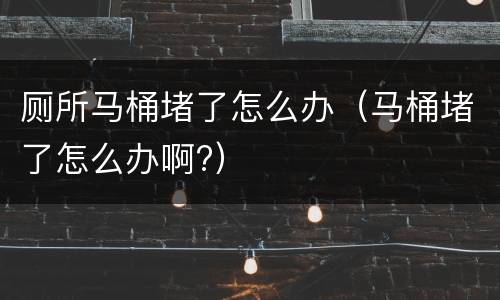 厕所马桶堵了怎么办（马桶堵了怎么办啊?）