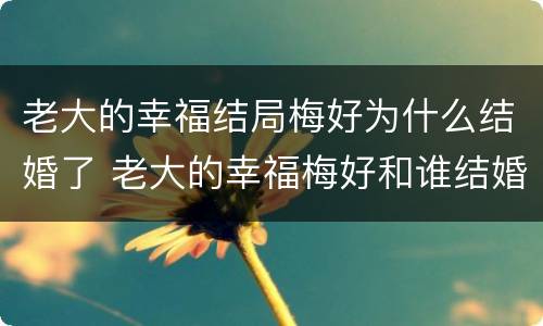 老大的幸福结局梅好为什么结婚了 老大的幸福梅好和谁结婚了