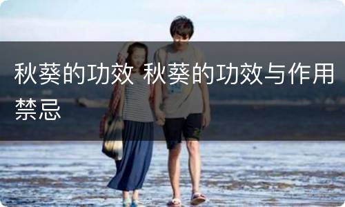 秋葵的功效 秋葵的功效与作用禁忌
