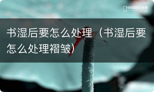 书湿后要怎么处理（书湿后要怎么处理褶皱）