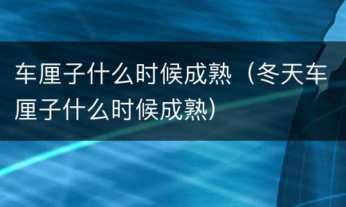 车厘子什么时候成熟（冬天车厘子什么时候成熟）