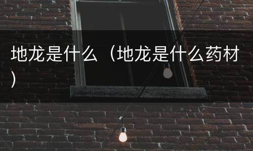 地龙是什么（地龙是什么药材）