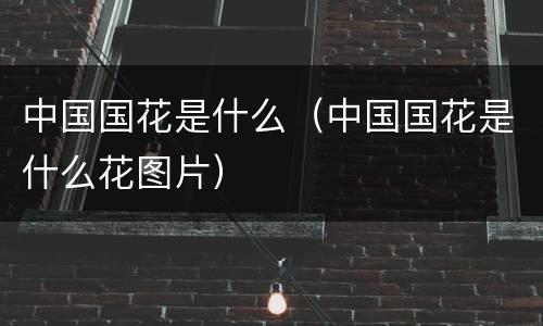 中国国花是什么（中国国花是什么花图片）