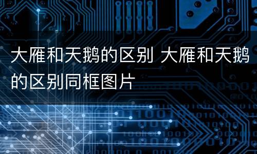 大雁和天鹅的区别 大雁和天鹅的区别同框图片