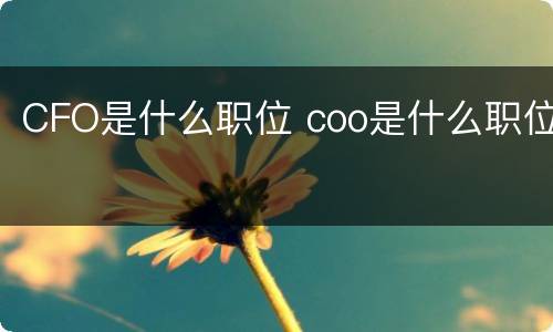 CFO是什么职位 coo是什么职位