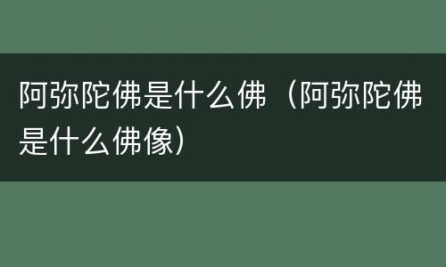 阿弥陀佛是什么佛（阿弥陀佛是什么佛像）