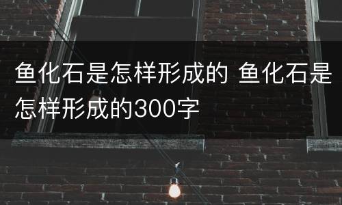 鱼化石是怎样形成的 鱼化石是怎样形成的300字