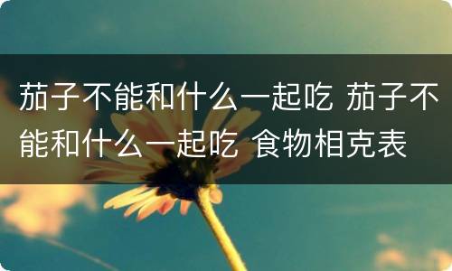 茄子不能和什么一起吃 茄子不能和什么一起吃 食物相克表