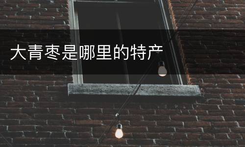 大青枣是哪里的特产