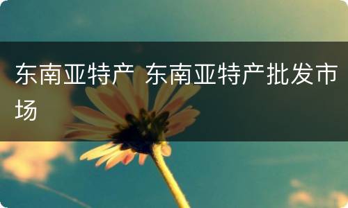 东南亚特产 东南亚特产批发市场