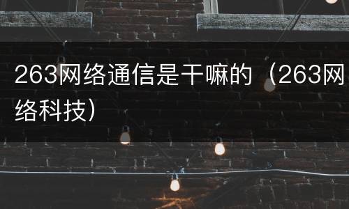 263网络通信是干嘛的（263网络科技）