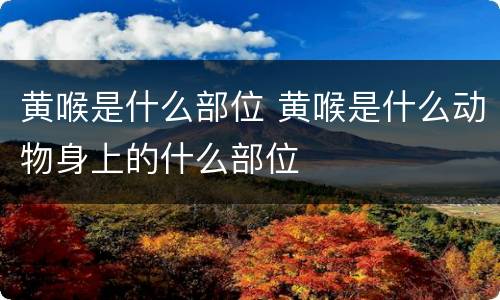 黄喉是什么部位 黄喉是什么动物身上的什么部位