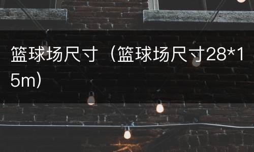 篮球场尺寸（篮球场尺寸28*15m）