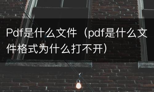 Pdf是什么文件（pdf是什么文件格式为什么打不开）
