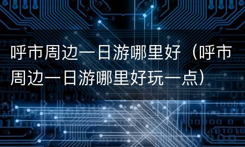 呼市周边一日游哪里好（呼市周边一日游哪里好玩一点）
