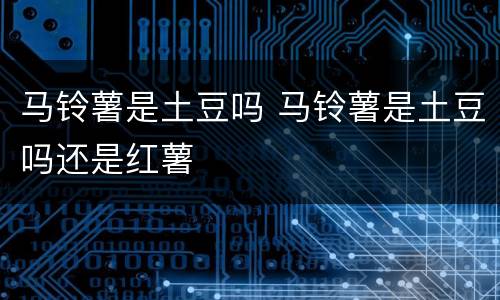 马铃薯是土豆吗 马铃薯是土豆吗还是红薯