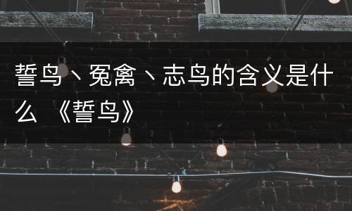 誓鸟丶冤禽丶志鸟的含义是什么 《誓鸟》