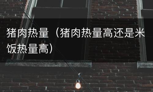 猪肉热量（猪肉热量高还是米饭热量高）