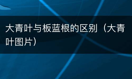 大青叶与板蓝根的区别（大青叶图片）