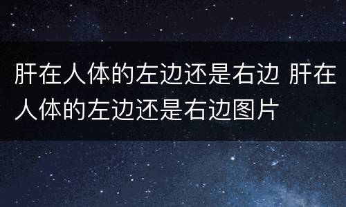 肝在人体的左边还是右边 肝在人体的左边还是右边图片