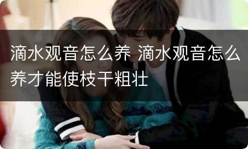 滴水观音怎么养 滴水观音怎么养才能使枝干粗壮