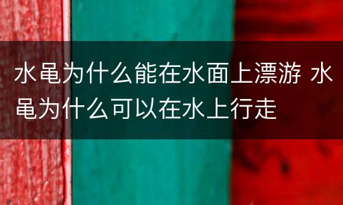 水黾为什么能在水面上漂游 水黾为什么可以在水上行走