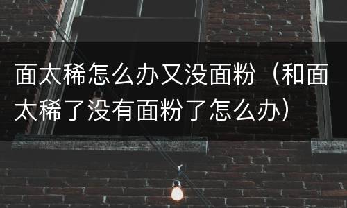 面太稀怎么办又没面粉（和面太稀了没有面粉了怎么办）