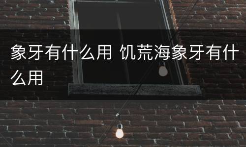 象牙有什么用 饥荒海象牙有什么用
