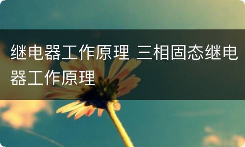 继电器工作原理 三相固态继电器工作原理