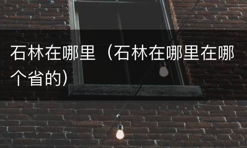 石林在哪里（石林在哪里在哪个省的）