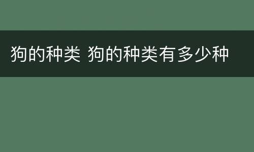 狗的种类 狗的种类有多少种