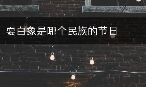 耍白象是哪个民族的节日