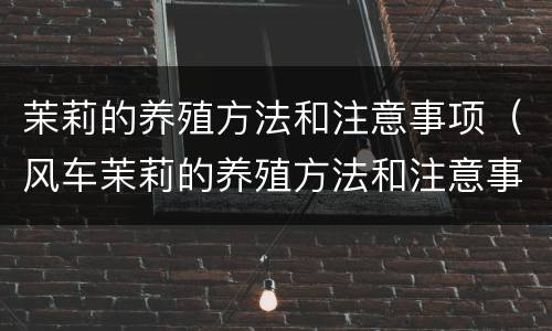 茉莉的养殖方法和注意事项（风车茉莉的养殖方法和注意事项）