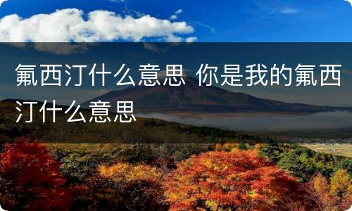 氟西汀什么意思 你是我的氟西汀什么意思