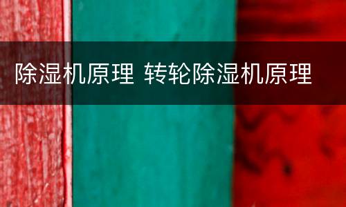 除湿机原理 转轮除湿机原理