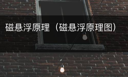 磁悬浮原理（磁悬浮原理图）