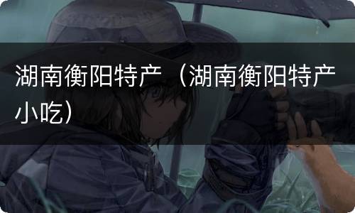湖南衡阳特产（湖南衡阳特产小吃）