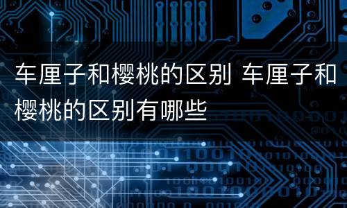 车厘子和樱桃的区别 车厘子和樱桃的区别有哪些