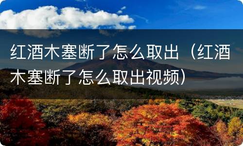 红酒木塞断了怎么取出（红酒木塞断了怎么取出视频）