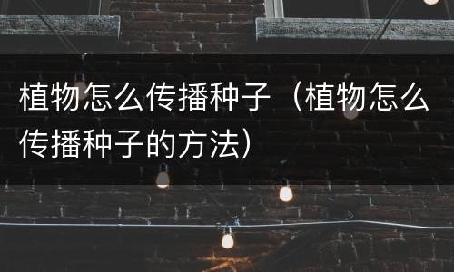 植物怎么传播种子（植物怎么传播种子的方法）